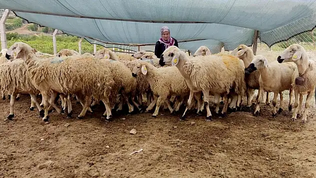 Uzman Eller Projesi ile genç yaşta kendi işini kurdu