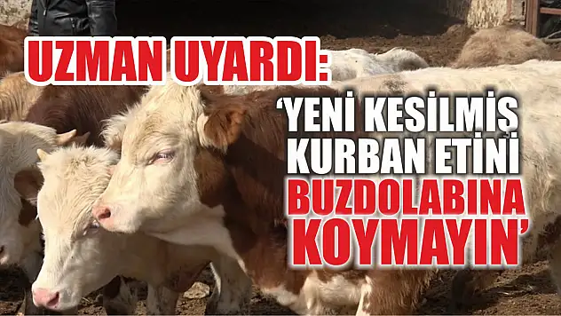 Uzman uyardı: 'Yeni kesilmiş kurban etini buzdolabına koymayın'