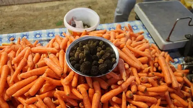 Uzun Zamandır Bekleniyordu