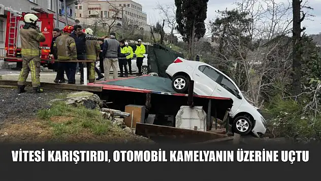 Vitesi karıştırdı, otomobil kamelyanın üzerine uçtu