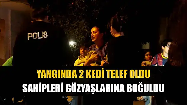 Yangında 2 kedi telef oldu, sahipleri gözyaşlarına boğuldu