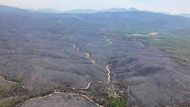Yangının büyüklüğü gözler önüne serildi