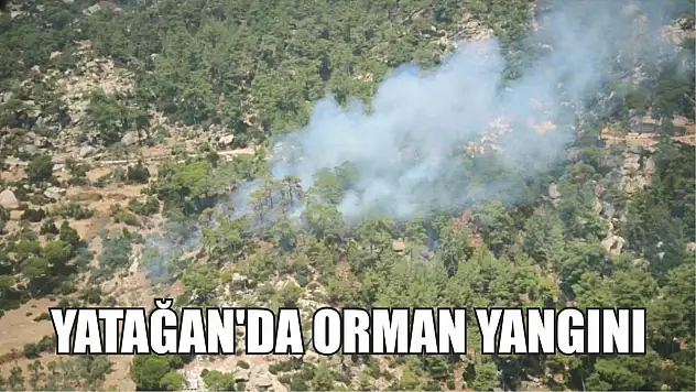 Yatağan'da orman yangını