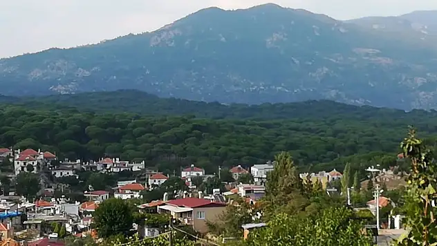 Yatağan vekil sonuçları belli oldu