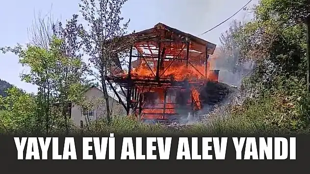 Yayla evi alev alev yandı