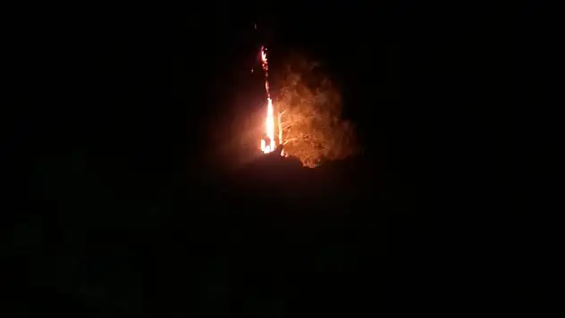 YILDIRIM ORMAN YANGINI YARATTI