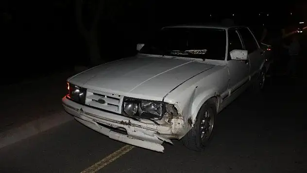 Yola çıkan domuz kazaya sebep oldu