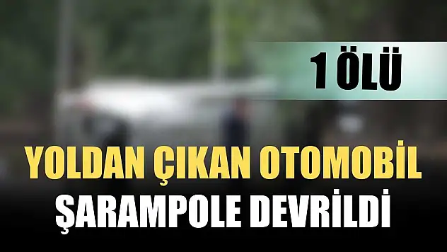 Yoldan çıkan otomobil şarampole devrildi 1 ölü