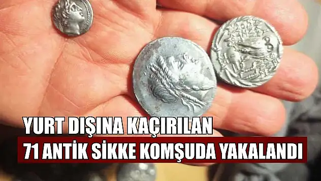 Yurt dışına kaçırılan 71 antik sikke komşuda yakalandı