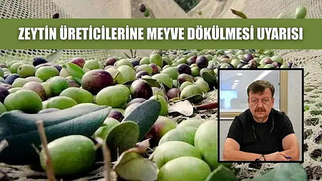 Zeytin üreticilerine meyve dökülmesi uyarısı
