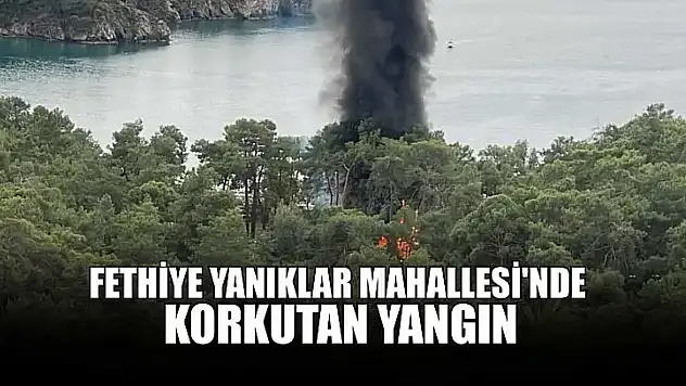 Fethiye Yanıklar Mahallesi'nde korkutan yangın