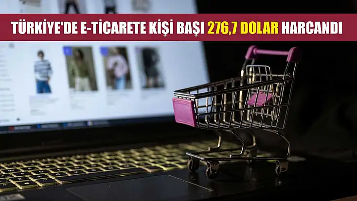 Türkiye'de e-ticarete kişi başı 276,7 dolar harcandı