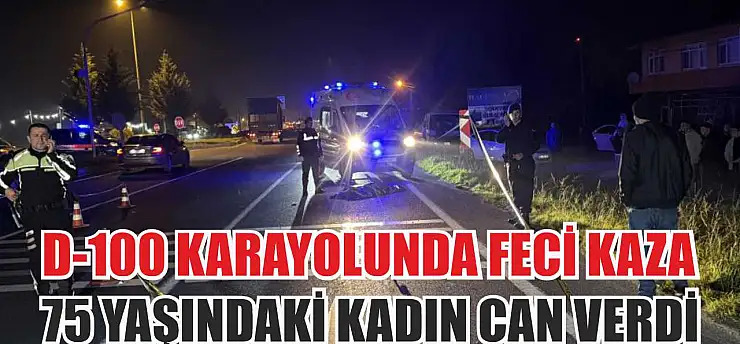 D-100 Karayolu'nda Feci Kaza: 75 Yaşındaki Kadın Can Verdi