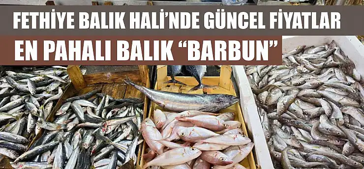 Fethiye Balık Hali'nde güncel fiyatlar: En pahalı balık 'Barbun'