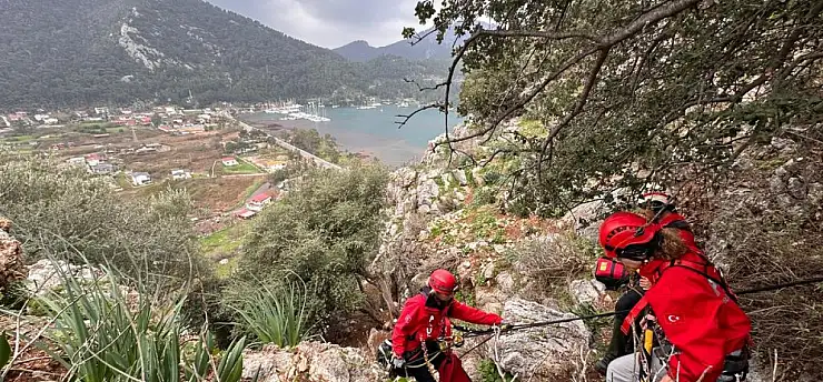 Marmaris'te kayalıklarda mahsur kalan köpek, keçi ve oğlak kurtarıldı