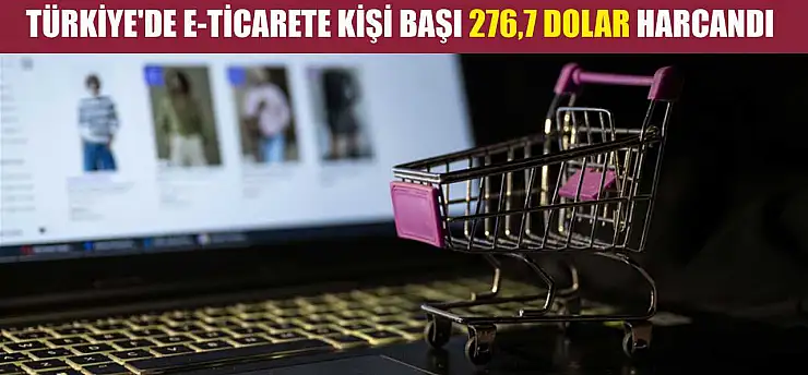 Türkiye'de e-ticarete kişi başı 276,7 dolar harcandı