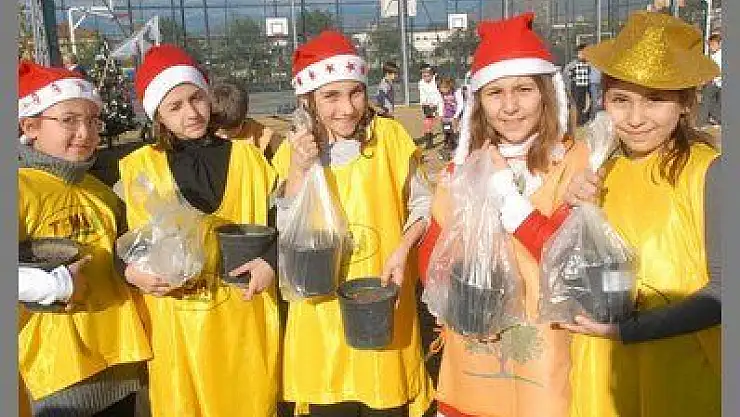 FETHIYE'DE YENI YILA LALE SOGANI VE MESE PALAMUTU DIKEREK GIRDILER