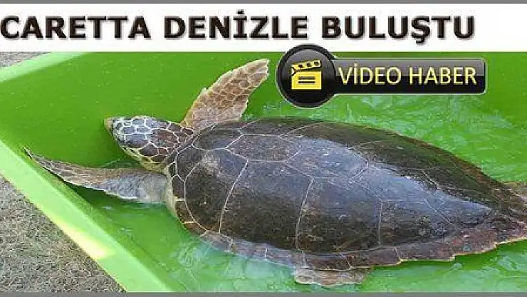 CARETTA 4 AYDA İYLEŞTİRİLDİ