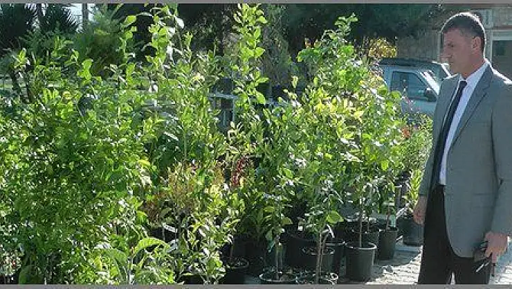  FİDANLAR ORMAN İŞLETMEDEN