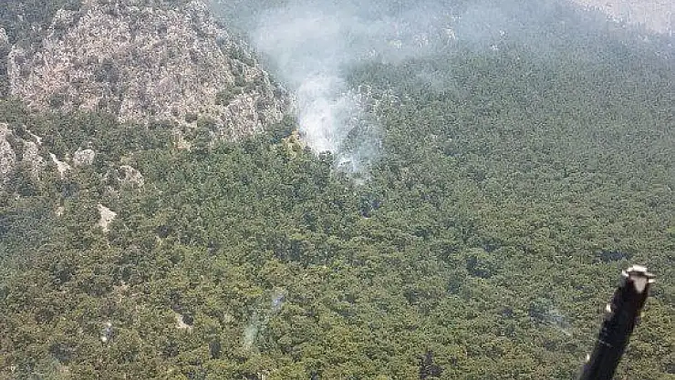 Muğla'da orman yangını