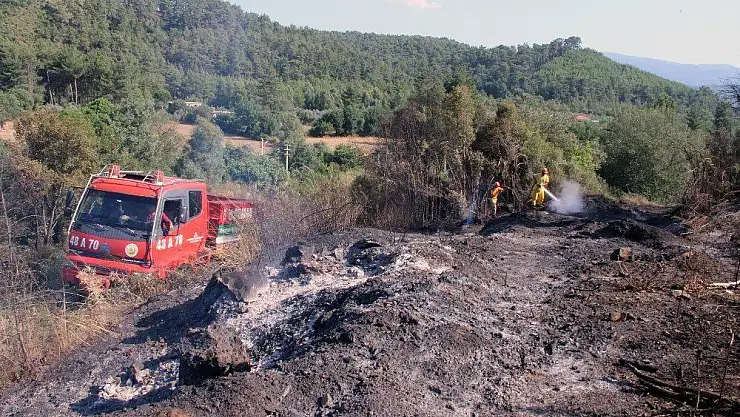 Ula'da 2 hektar alan yandı