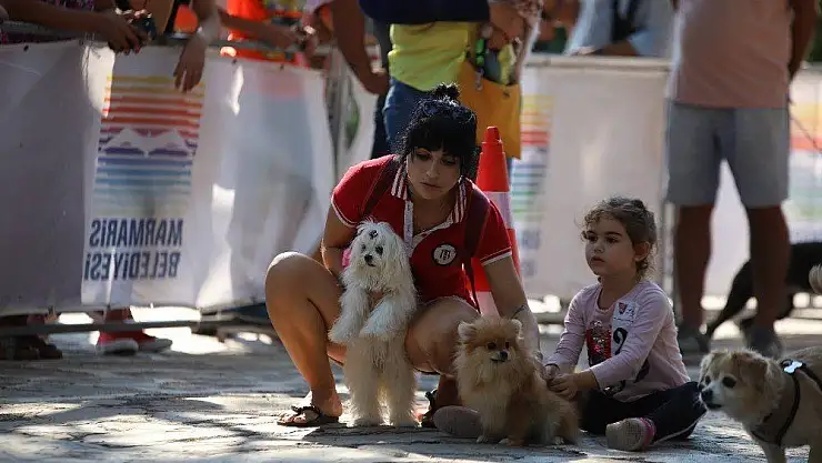 Marmaris'te köpek güzellik yarışması yapıldı