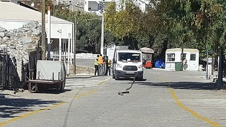 Kablo hırsızları zabıtanın dikkatiyle yakalandı