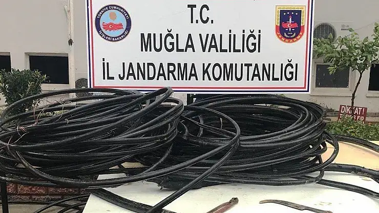 Kabloları keserken suçüstü yakalandılar