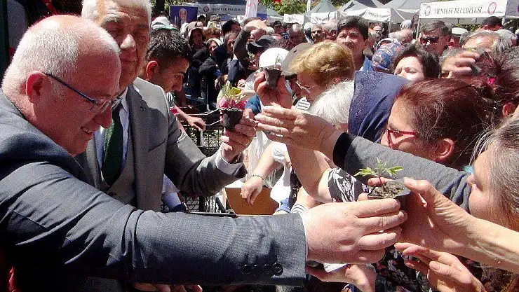 30 bin yerel fide dağıtıldı