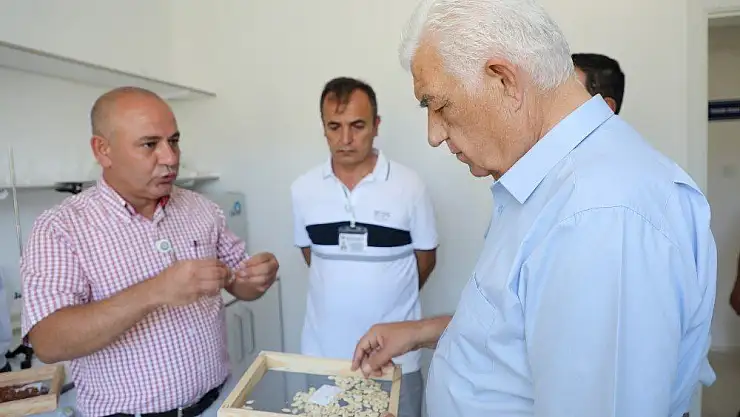 Muğla'da üretilen yerel tohumlar 42 ilde toprakla buluştu