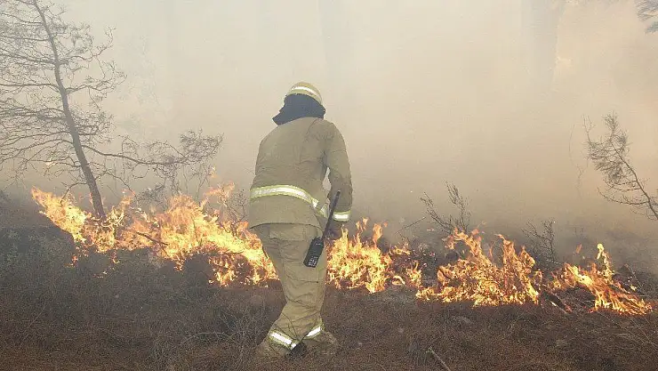 Muğla'da 556 mevsimlik işçi işten çıkarılma riski ile karşı karşıya
