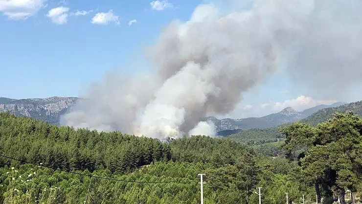 Dalaman'da orman yangını