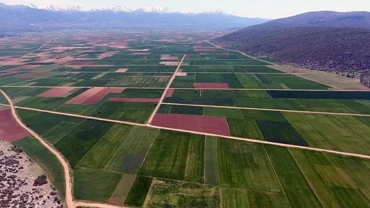 2020 Yılında Muğla'da 4 Bin 415 Hektar arazi toplulaştırıldı
