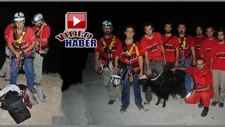 ÖLÜDENİZ'DE MAHSUR KALAN KEÇİYİ AKUT KURTARDI