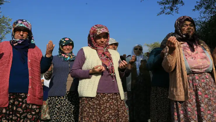 MİLAS'TA KÖYLÜLER YAĞMUR DUASINA ÇIKTI...