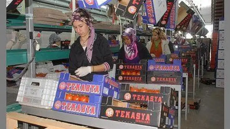 FETHİYE'DE İHRACATTAKİ SORUNA ALİ BOĞA EL KOYDU