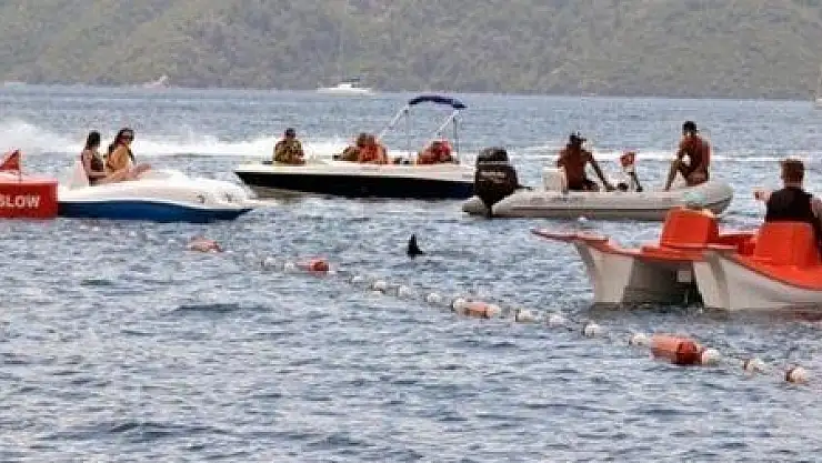 KÖPEK BALIĞI SANDILAR KORKTULAR