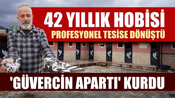 42 yıllık hobisi, profesyonel tesise dönüştü 'güvercin apartı' kurdu