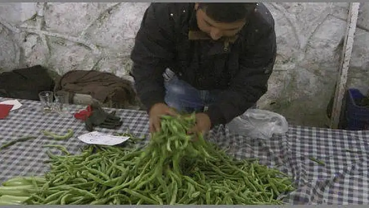 FASULYE PAZARDA 14 TL YE KADAR ÇIKTI