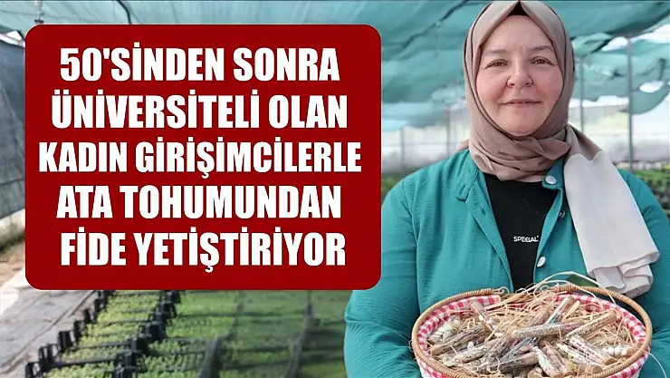 50'sinden sonra üniversiteli olan kadın girişimcilerle ata tohumundan fide yetiştiriyor