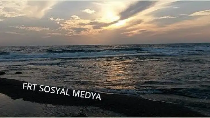 Balık avlamak için daldı, vurgun yedi