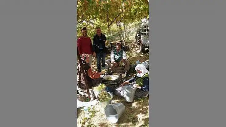  Kaymakam Köken Arsa Mahallesi'nde