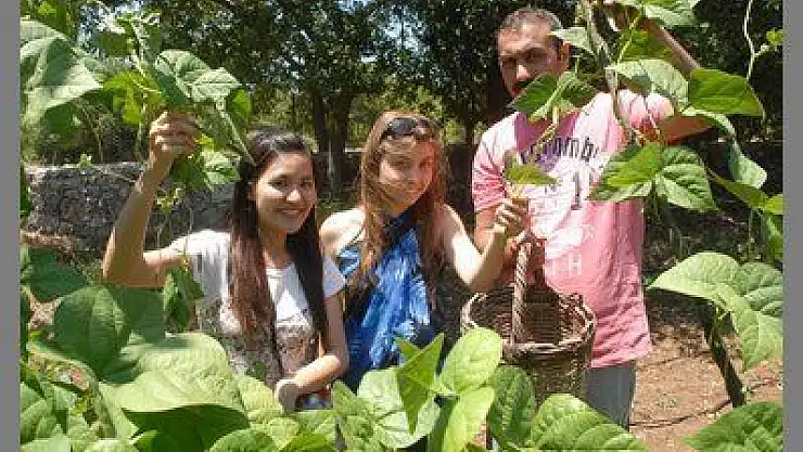 DOĞA SEVERLERİN TERCİHİ KAYAKÖY SANAT KAMPI