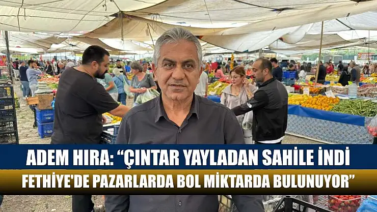 Adem Hıra: 'Çıntar yayladan sahile indi, Fethiye'de pazarlarda bol miktarda bulunuyor'