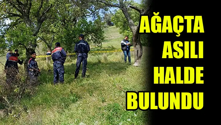 Ağaçta Asılı Halde Ölü Bulundu