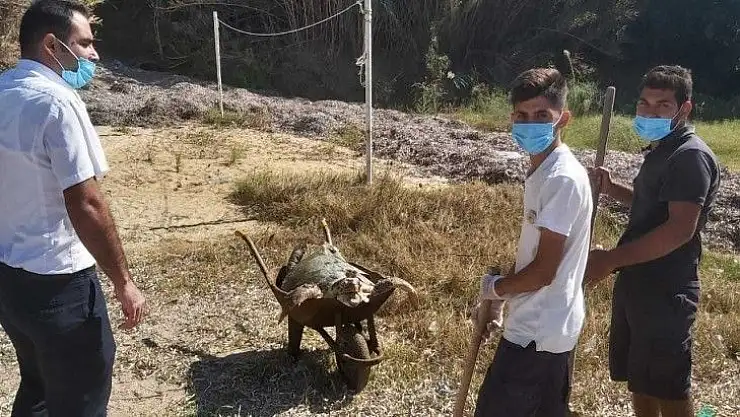 Ağzında poşetle kıyıya vurdu