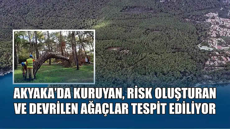 Akyaka'da kuruyan, risk oluşturan ve devrilen ağaçlar tespit ediliyor