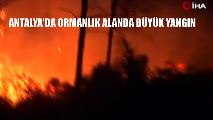 Antalya'da ormanlık alanda büyük yangın