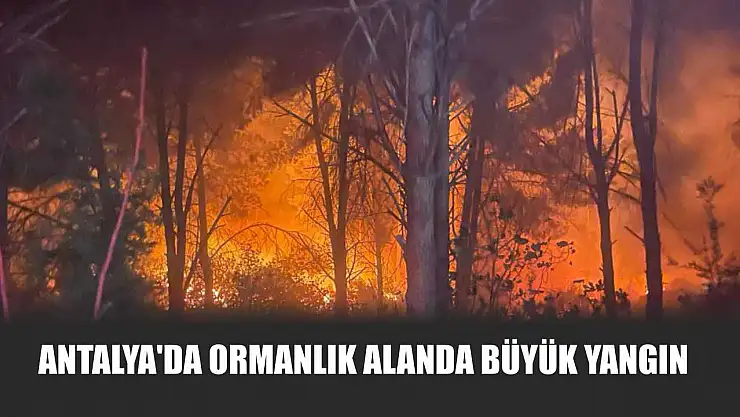 Antalya'da ormanlık alanda büyük yangın