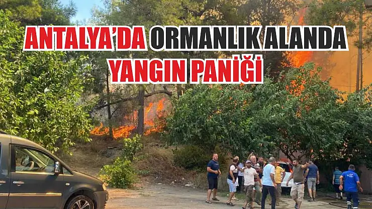 Antalya'da ormanlık alanda yangın paniği